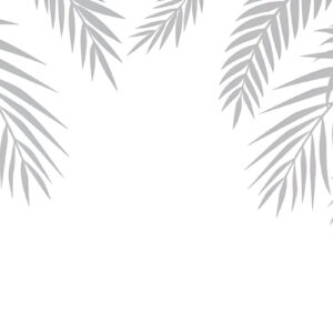 White-background-shadow-palm-leaves-gray