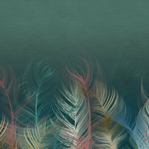 Composition-multicolored-feathers-on-dark-green-