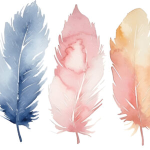 Feather in five colours pattern